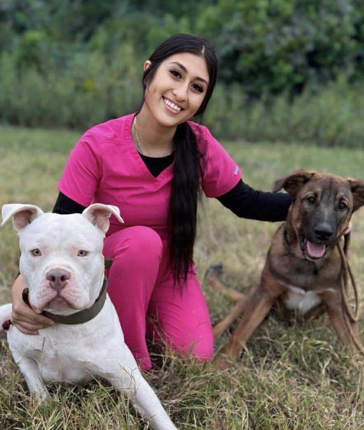 Portrait of Angelica